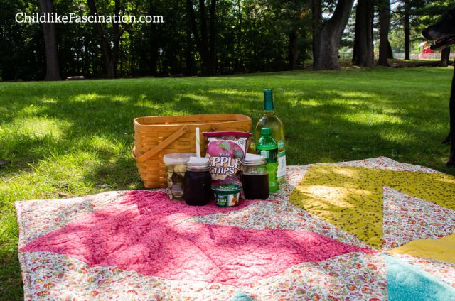 Our attempt at a picnic meal