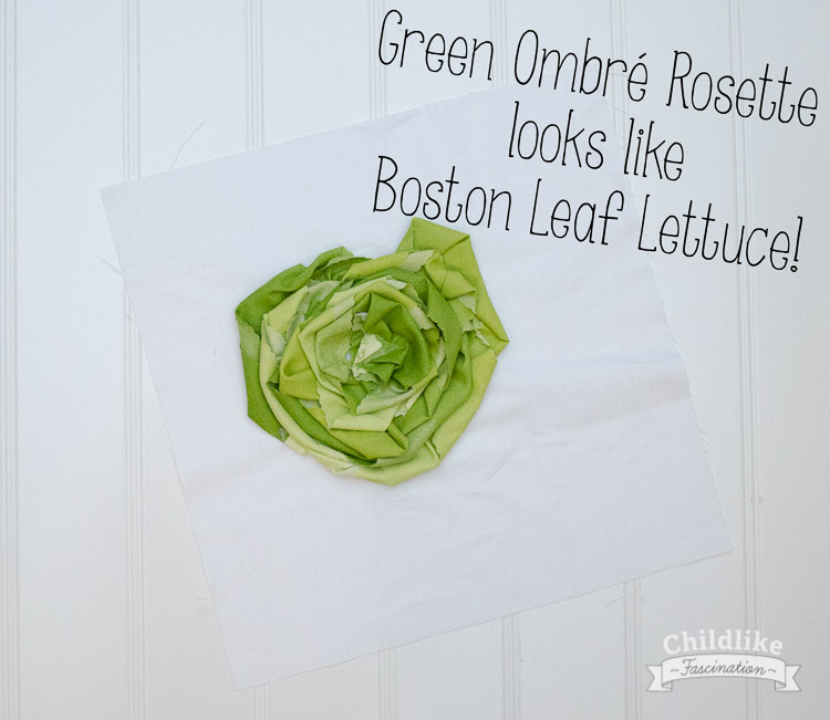 It's an ombré rosette in green...or a head of lettuce, your call