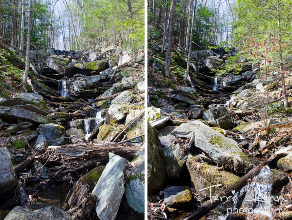 Waterfall in the Woods