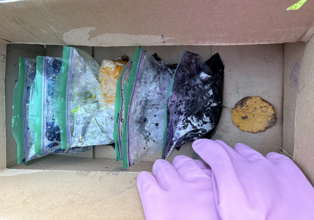 Photo of ziplock bags of dyes in a cardboard box
